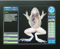 カエル解剖学習ソフト